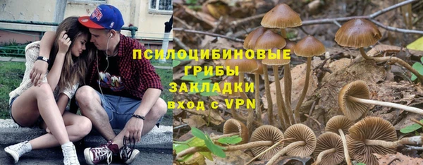 ПСИЛОЦИБИНОВЫЕ ГРИБЫ Богородицк